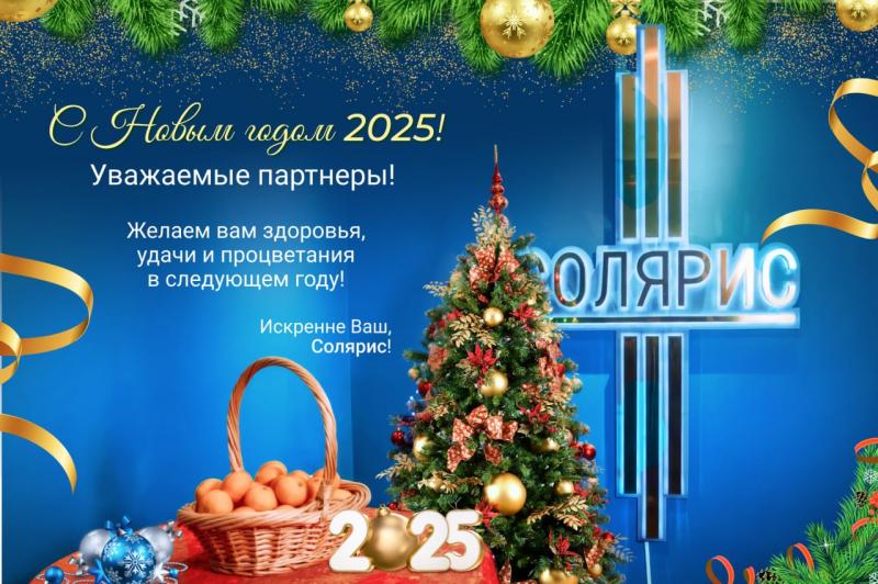 С Новым 2025 годом!
